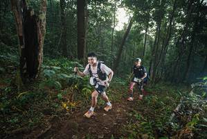 BIB: 
                            <button type="button" onclick="openModal(22432315)" class="btn btn-primary btn-sm float-right btn-popup" data-toggle="modal" data-target=".modal-high-quality">
                        <i class="fas fa-shopping-cart"></i> Add to Cart
                    </button>
                                            <button type="button" onclick="isThisMe(22432315, true)" class="btn btn-success btn-sm float-right btn-popup btn-isme hidden" data-toggle="tooltip" data-placement="bottom" title="นี่คือรูปของคุณใช่ไหม คลิกที่นี่เพื่อเอาเข้าอัลบั้ม">
                        <i class="fas fa-plus"></i> Add to album
                    </button>
                    <button type="button" onclick="isThisMe(22432315, false)" class="btn btn-warning btn-sm float-right btn-popup btn-isnotme hidden">
                        <i class="fas fa-ban"></i> Remove from album
                    </button>